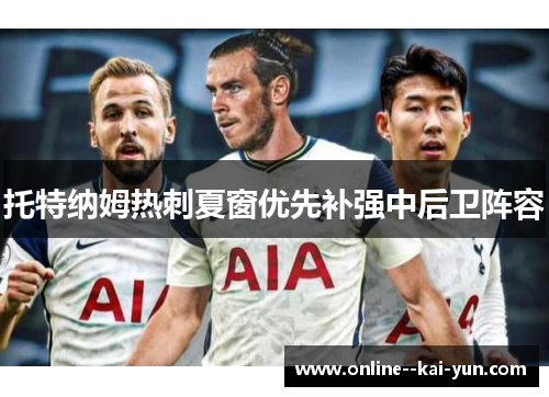托特纳姆热刺夏窗优先补强中后卫阵容 托特纳姆热刺夏窗优先补强中后卫阵容